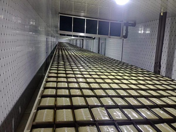 码垛机械人出产线设计规划 通辽CBPAY的码垛机械人出产线